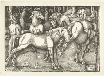Gruppo di sei cavalli che combattono