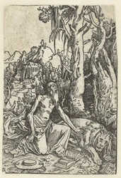San Girolamo come penitente nel deserto
