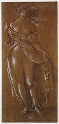 Lucrezia