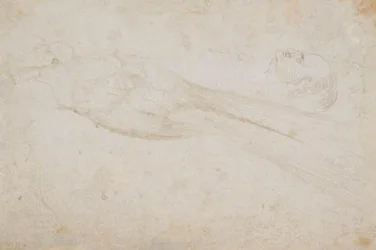 Uccello del Paradiso Maschio e la Testa di un Uomo di Mezza Età in Profilo a Sinistra; anche Dettagli di