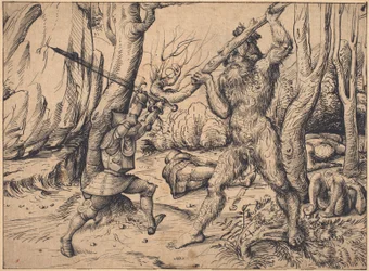 La lotta nella foresta