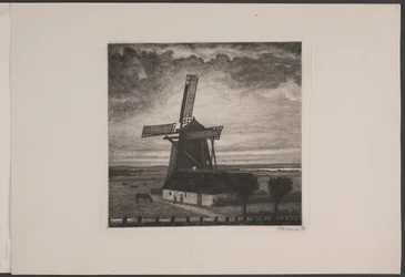 Mulino
