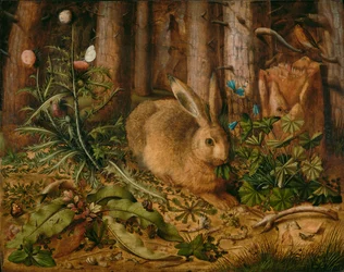 Una lepre nella foresta