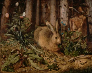 Una lepre nella foresta