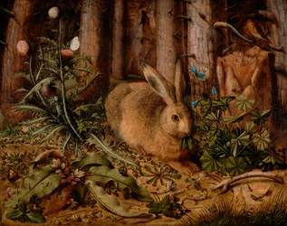Una lepre nella foresta, c.1585