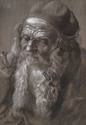 Un vecchio di 93 anni: San Girolamo (pennello e inchiostro)