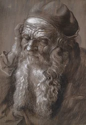 Un vecchio di 93 anni San Girolamo