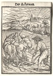 Danza della morte: Il contadino