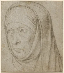 Testa di una vecchia donna