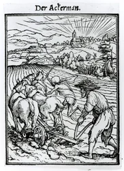 La morte e il contadino, da 