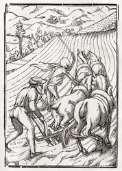 La Morte arriva per il Contadino, inciso da Georg Scharffenberg, da 