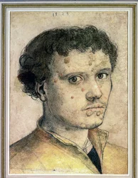 Testa di un giovane uomo
