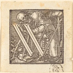 Lettera W