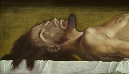 Il corpo di Cristo morto (dettaglio)