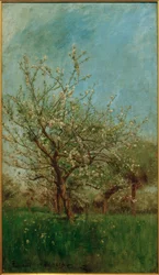 Alberi in fiore a Uerdenbach