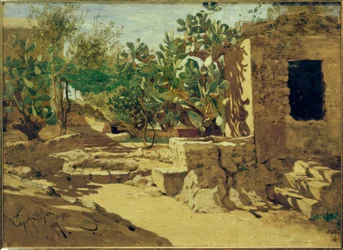 H.P.Feddersen il Giovane, Cactus con capanna