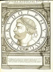 Rodolphus, illustrazione da 