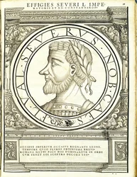 Seuerus D, illustrazione da 