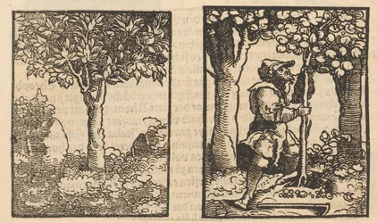 Albero e rappresentazione di un raccoglitore di frutta tra gli alberi