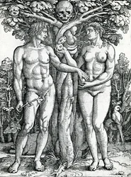La caduta di Adamo ed Eva, ca. 1525-27