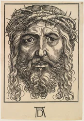 La testa di Cristo coronata di spine