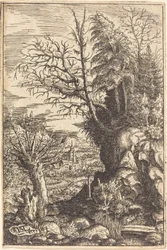 Paesaggio con un salice