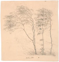 Tre alberi
