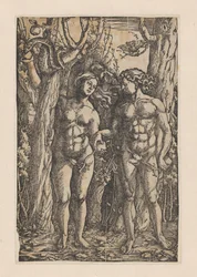 La caduta