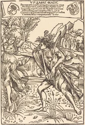 Apollo e Dafne