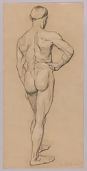 Nudo maschile visto da dietro