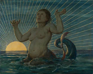 Risveglio marino