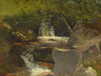 Ruscello della Foresta Nera