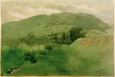 Paesaggio della Foresta Nera