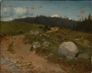 Sentiero sassoso ai margini del bosco