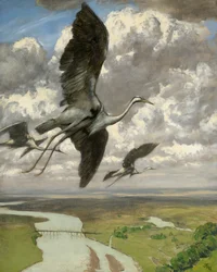 Uccelli meravigliosi, 1892