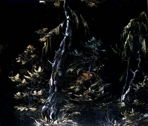 Studio di alberi e piante