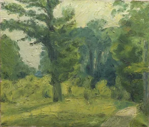 Ai margini del bosco