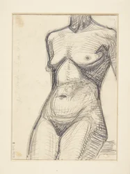 Torso di modello femminile