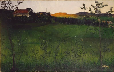 Campo maturo