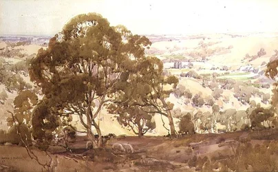 Paesaggio