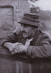 Tre disegni sul vecchio brugo