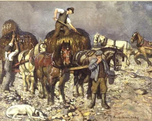 Raccoglitori di Alghe