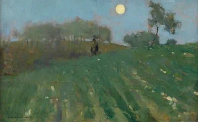 Passeggiata al chiaro di luna