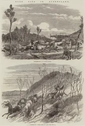 Vita nel bush nel Queensland