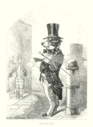 Cani divertenti: il cane veloce (incisione)