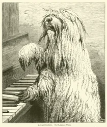 Quiz al pianoforte
