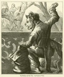 La Scimmia e le Noci