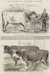 Mostra della Royal Agricultural Society, a Chelmsford