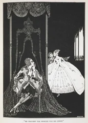 Pensava che la principessa fosse la sua regina. Illustrazione per la storia Pelle d