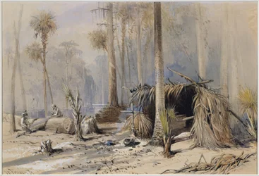 Il cantiere Cypress-Shingle, fiume Ocklawaha, Florida